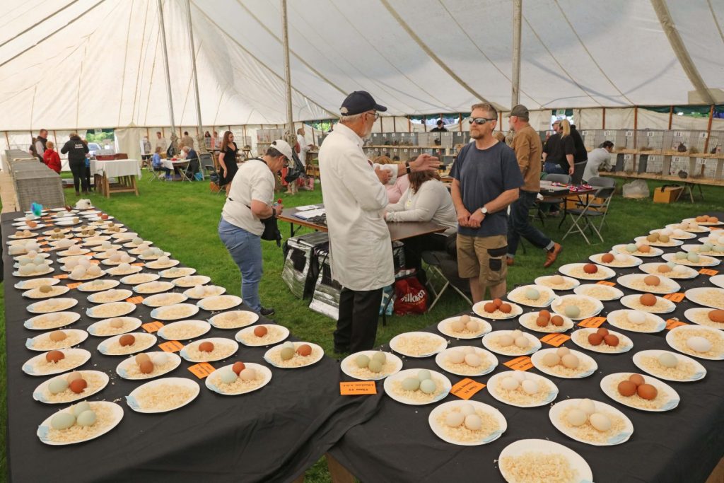 exhibitors - Northumberland County Show